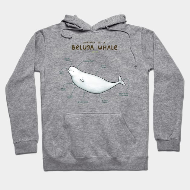 Anatomy of a Beluga Whale Hoodie by Sophie Corrigan